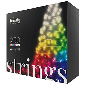 Twinkly Strings – 250 RGB+W Ciąg świetlny, przezroczysty przewód, typ wtyczki F