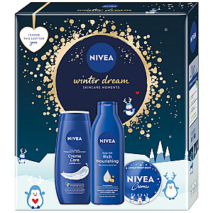 NIVEA SET Shower gel Winter Dream 250ml + universal cream 100ml