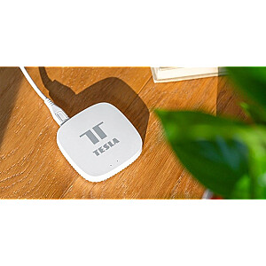 Контроллер устройства Tesla TSL-GW-GT01ZG Smart ZigBee Hub