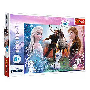 Puzlis TREFL Frozen Magic time 300 gb. 7+ T23006