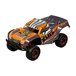 NIKKO R/C Automašīna Elite, mērogs 1:14