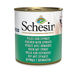 SCHESIR Chicken with spinach in jelly - wet dog food - 285g