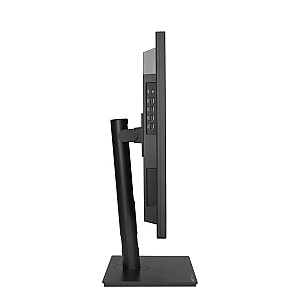 ASUS ProArt PA32DC, OLED-монитор - 32 - черный, UltraHD/4K, HDR, USB-C