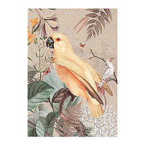 Kanvas 60x80 Yellow parrot CA-18563