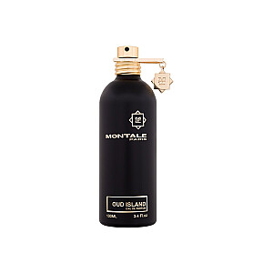 Parfimēts ūdens Montale Oud Island 100ml