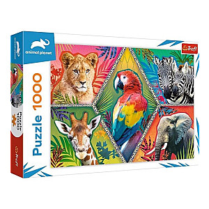 Puzlis TREFL Eksotiskie dzīvnieki Animal Planet 1000 gb. 12+ T10671