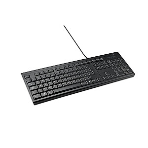 Pilna izmēra tastatūra KB100 EQ US INT