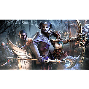 PlayStation 5 žaidimas Dragon Age The Veilguard