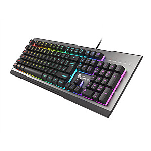 Игровая клавиатура Genesis Rhod 500, светодиодная подсветка RGB, США, серебристый / черный, проводной