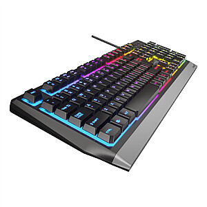 Игровая клавиатура Genesis Rhod 300 RGB, светодиодная подсветка RGB, США, черная, проводная