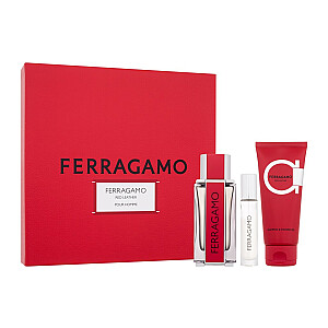 Парфюмированная вода Ferragamo Ferragamo 100ml