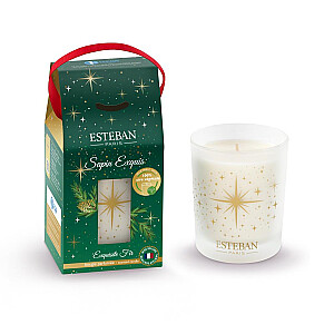 CHRISTMAS EDITION2024 EXQUISITE FIR AROMATIZĒTA SVECE 180G, ESTEBAN