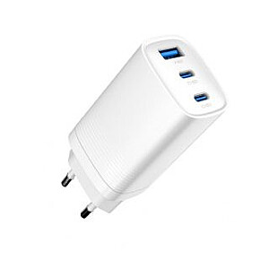 Evelatus 65W Max Быстрая Зарядка EU USB-C1/USB-C1/USB-A Белая