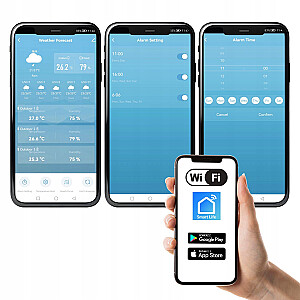 WIFI orų stotis su orų prognoze