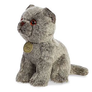 AURORA Miyoni Mīkstā rotaļlieta Scottish fold cat, 22 cm