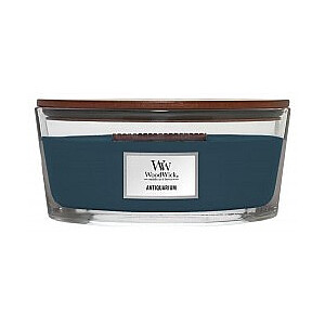 WoodWick Antiquarium 453,6g