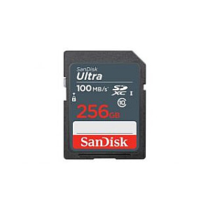 SANDISK BY WESTERN DIGITAL ATMINTIS SDXC 256GB UHS-I/SDSDUNR-256G-GN3IN SANDISK