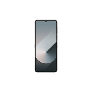 Samsung Galaxy Z Flip 6 (F741B) DS 5G 12/256GB Серебряная Тень