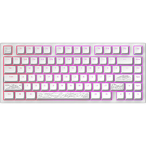 Dark Project ALU Terra Nostra White Wired