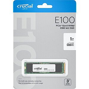 SSD disks E100 1TB M.2 NVMe 2280 PCIe 4.0 5000/4500 MB/s