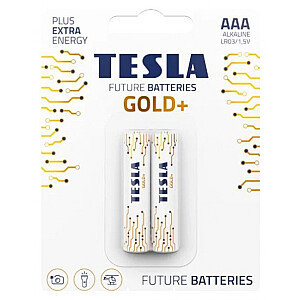 Tesla AAA Gold+ 2 шт.