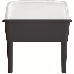Prosperplast Mini siltumnīca 38 cm x 77 cm x 82 cm (DREP770-S433)