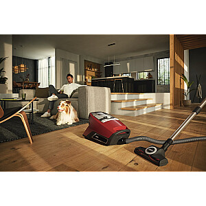 Miele Blizzard CX1 Cat & Dog bezsoma putekļsūcējs Mango sarkans