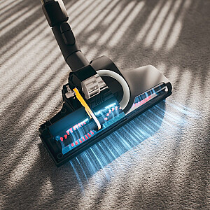 Miele Blizzard CX1 Cat & Dog bezsoma putekļsūcējs Mango sarkans