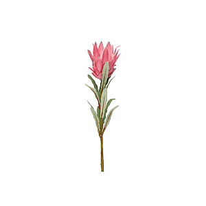 Mākslīgie ziedi 4Living Protea zars 69cm 643658