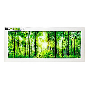 Foto glezna 50x125 Sunlight GL-00705