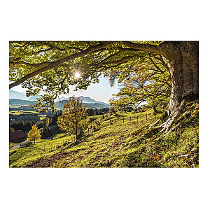 Foto glezna 80x120 Green Tree GL-02002