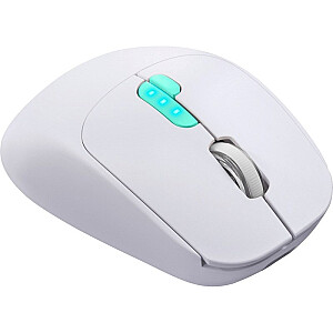 MOUSE DEFENDER NITTA MM-307 RF+BT OPTIC 1600dpi 6P BALTS