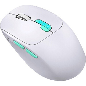 MOUSE DEFENDER NITTA MM-307 RF+BT OPTIC 1600dpi 6P BALTS