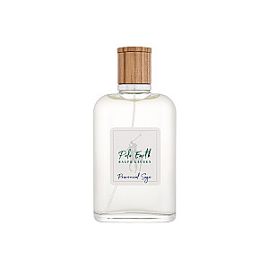 Туалетная вода Ralph Lauren Polo Earth 100ml