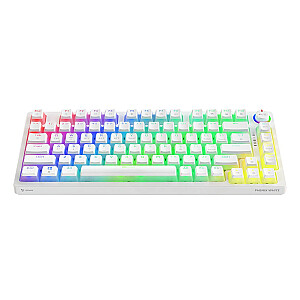 Bezvadu mehāniskā tastatūra PHENIX WHITE Gateron Red Pro, Pudding