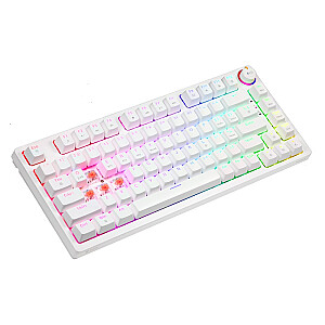 Bezvadu mehāniskā tastatūra PHENIX WHITE Gateron Red Pro, ABS