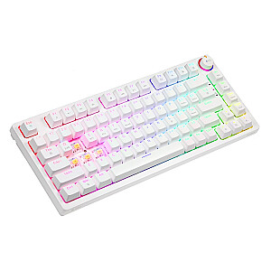 Беспроводная механическая клавиатура PHENIX WHITE Gateron Yellow, ABS