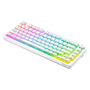 Bezvadu mehāniskā tastatūra SAVIO PHENIX WHITE Gateron Yellow, Pudding