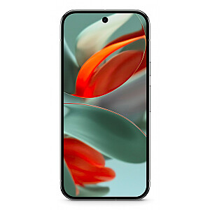 Google Pixel 9 Pro XL 17.3 см (6.8"), 16 ГБ, 256 ГБ, 50 МП, Android 14, Hazel