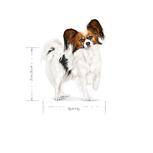 ROYAL CANIN Pieaugušie x-mazi SHN - sausais suņu ēdiens - 1.5kg