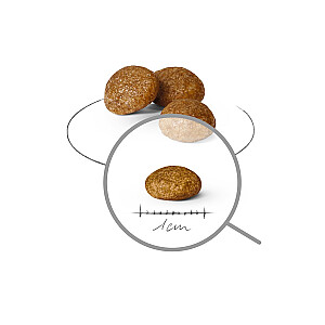 ROYAL CANIN Pieaugušie x-mazi SHN - sausais suņu ēdiens - 1.5kg