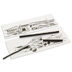 Ogles zīmulis Faber-Castell Pitt 2907-M, vidējas cietības, melns