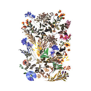 Dekoratīvas uzlīmes Galeria Papieru Field Flowers, 40 gab/iep