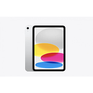 iPad WiFi + Cellular 11 collas 512 GB Sudrabs