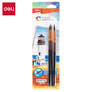 Pintslid DELI 3tk/pk orav (2, 3, 4 ümar)