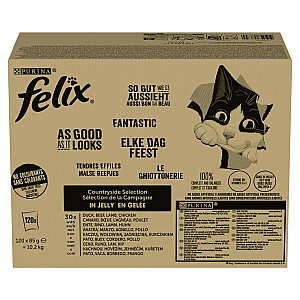 PURINA FELIX FANTASTIC Смешанные вкусы Country 120x85г