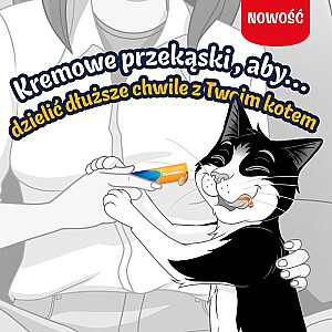 PURINA FELIX Дели Моменты Курица 4x10г