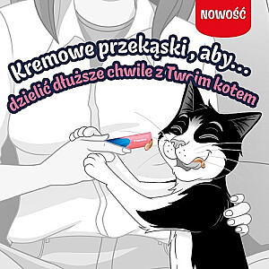 PURINA FELIX Deli Moments lasis 4x10g