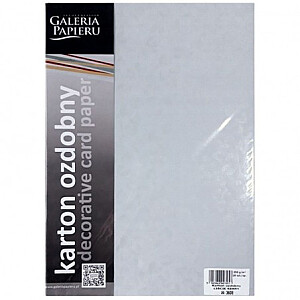 Dekoratiivkaardipaber A4 LEAVES hall 20 tk/karp 250g/m2