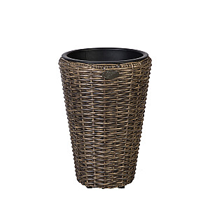 Puíu pākstis WICKER D28xH40cm, tumði bronza